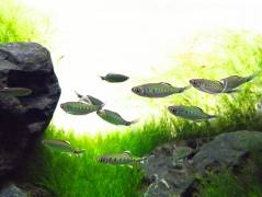 DSC_2380~2.jpg DSC_2380~2.jpg