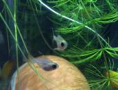 image2.jpg image2.jpg