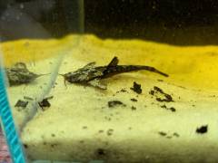 PXL_20250531_115431341.MP.jpg PXL_20250531_115431341.MP.jpg