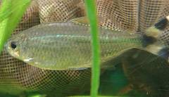 320_filtered.jpg 320_filtered.jpg