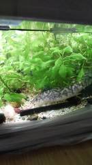 15755252833512388744319892917563.jpg 15755252833512388744319892917563.jpg