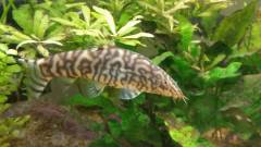 20150531_211748.jpg 20150531_211748.jpg