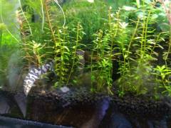 IMG_2022-10-08-09-32-58-605.jpg IMG_2022-10-08-09-32-58-605.jpg