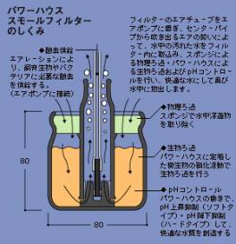 image02.gif image02.gif