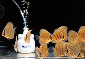 image07_1.jpg image07_1.jpg