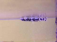 image.jpeg image.jpeg