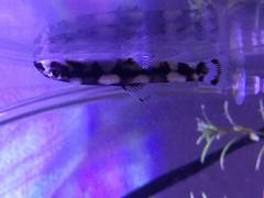 image_0.jpeg image_0.jpeg