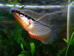 IMG_2023-02-04-13-23-28-213.jpg IMG_2023-02-04-13-23-28-213.jpg