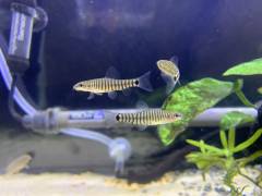 8EA0575B-F534-417E-8A04-F5B5DABEFF61.jpeg 8EA0575B-F534-417E-8A04-F5B5DABEFF61.jpeg