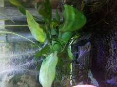 20180915_002208.jpg 20180915_002208.jpg