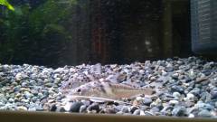 DSC_0091.jpg DSC_0091.jpg