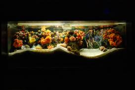 015_2 (1).jpg 015_2 (1).jpg