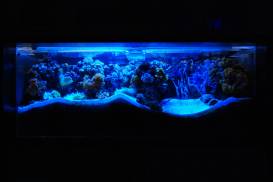 015_3 (1).jpg 015_3 (1).jpg