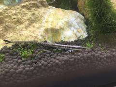 image.jpeg image.jpeg