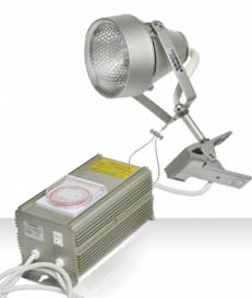 li13_0102.jpg li13_0102.jpg