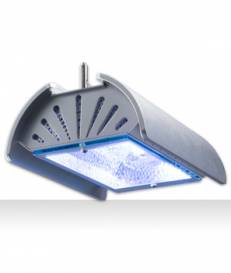 li11_0102.jpg li11_0102.jpg