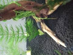 20160107_185505.jpg 20160107_185505.jpg