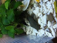 image_2.jpg image_2.jpg