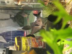 image_0.jpg image_0.jpg