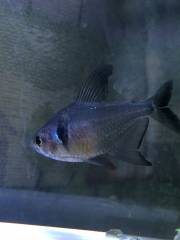 image_2_0.jpg image_2_0.jpg