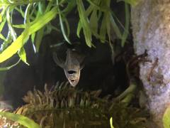 image_3.jpg image_3.jpg