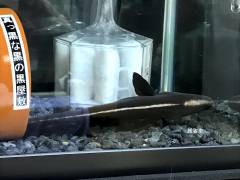 IMG_1260 .jpg IMG_1260 .jpg