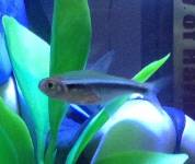 無題.jpg 無題.jpg