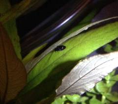 image.jpeg image.jpeg