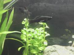 image_1.jpeg image_1.jpeg