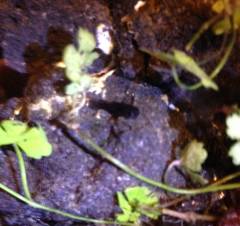 image_2.jpeg image_2.jpeg