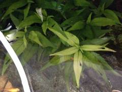 image_5.jpeg image_5.jpeg