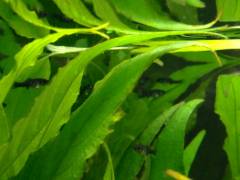 image_7.jpeg image_7.jpeg