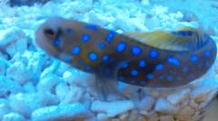 140308_113610.jpg 140308_113610.jpg