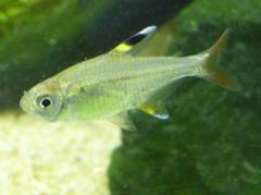 20141104-06-546x409.jpg 20141104-06-546x409.jpg