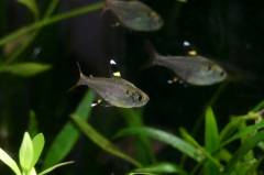 IMG_9910.jpg IMG_9910.jpg