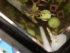 25419FF2-FDAF-4EB9-8D1B-EC049472FBFC.jpeg 25419FF2-FDAF-4EB9-8D1B-EC049472FBFC.jpeg