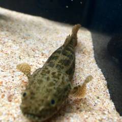 image.jpeg image.jpeg