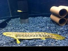 image.jpeg image.jpeg