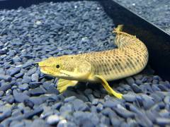 image_2.jpeg image_2.jpeg