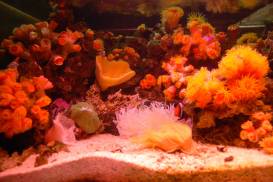 012_1 (1).jpg 012_1 (1).jpg