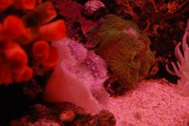 012_2 (1).jpg 012_2 (1).jpg