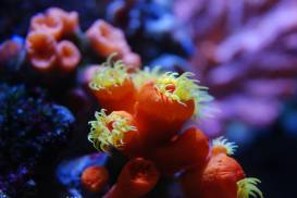 011_2 (1).jpg 011_2 (1).jpg