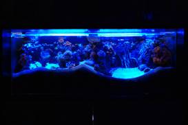 010_2 (1).jpg 010_2 (1).jpg