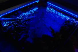 010_3 (1).jpg 010_3 (1).jpg