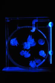 010_4 (1).jpg 010_4 (1).jpg