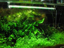 013_2 (1).jpg 013_2 (1).jpg