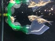 2014-05-26 21.32.07.min.jpg 2014-05-26 21.32.07.min.jpg