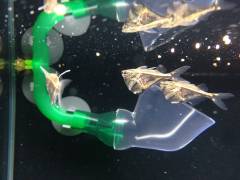 2014-05-26 21.32.07.min.jpg 2014-05-26 21.32.07.min.jpg