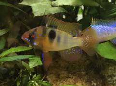 88034A61-9739-420D-8C8F-F084066FFA34.jpeg 88034A61-9739-420D-8C8F-F084066FFA34.jpeg