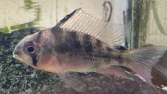 IMG_4172.jpeg IMG_4172.jpeg